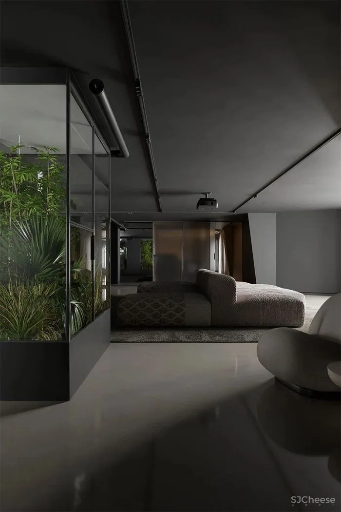 不一样的禁欲主义