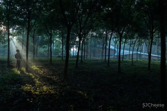 印度设计，原始与现代的碰撞！