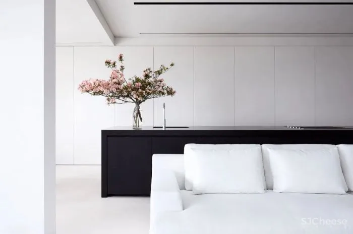 Mathieson Architects-纯粹的现代主义空间哲学!