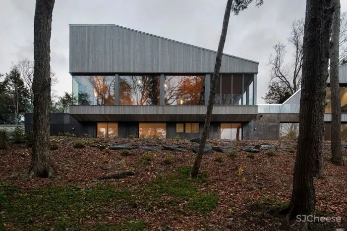 naturehumaine │ 悬浮在森林中的住宅,隐逸而宁静