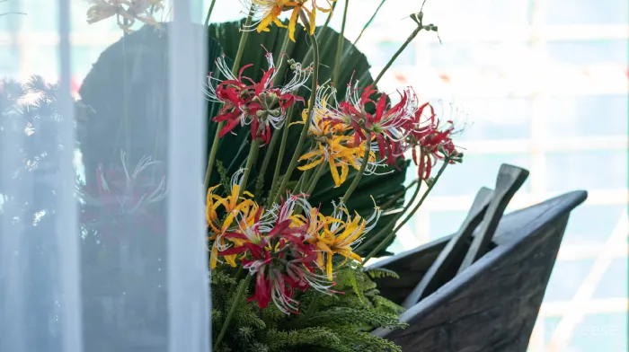 莫兰迪色调，诠释东方禅意 现代美学 YORO御融设计