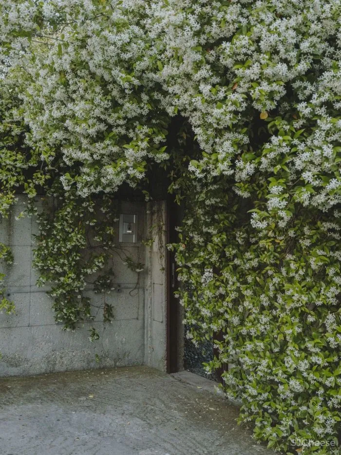 从哲学跨界到景观设计大师,他却说自己只是 一位 “ 园丁 ”