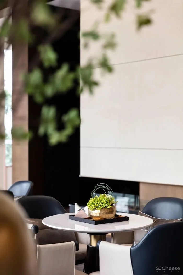 朗昇设计:致敬城市文化,悦享都市优雅格调!