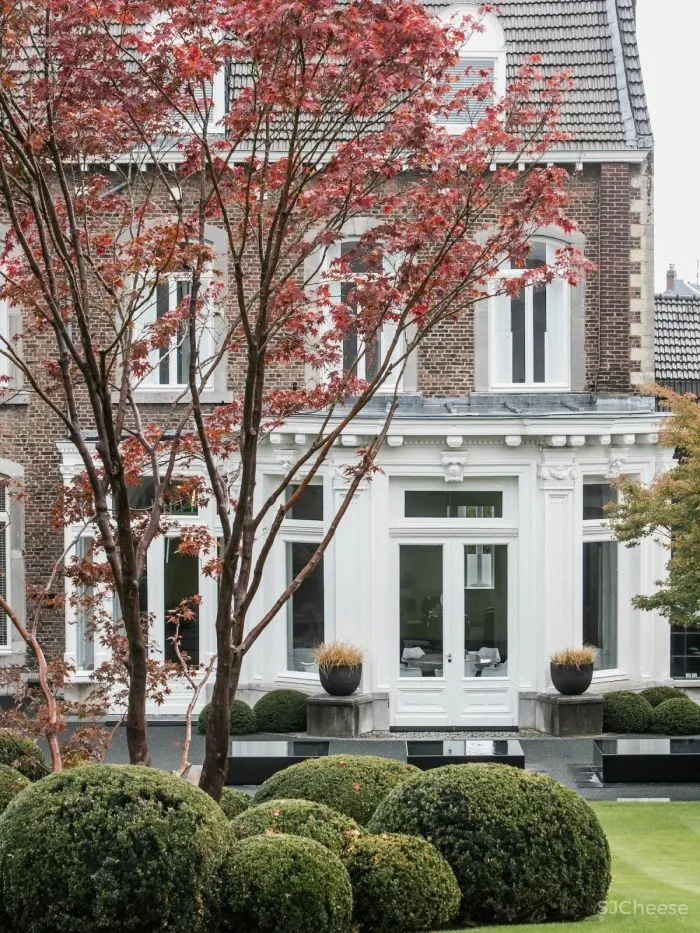 Niels Maier-荷兰极简主义的魅力!