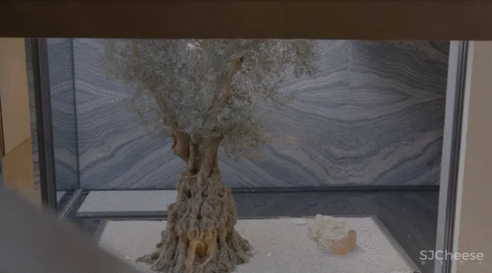 4.2亿比弗利山庄豪宅，1688㎡奢华内饰，光卫生间就14个！