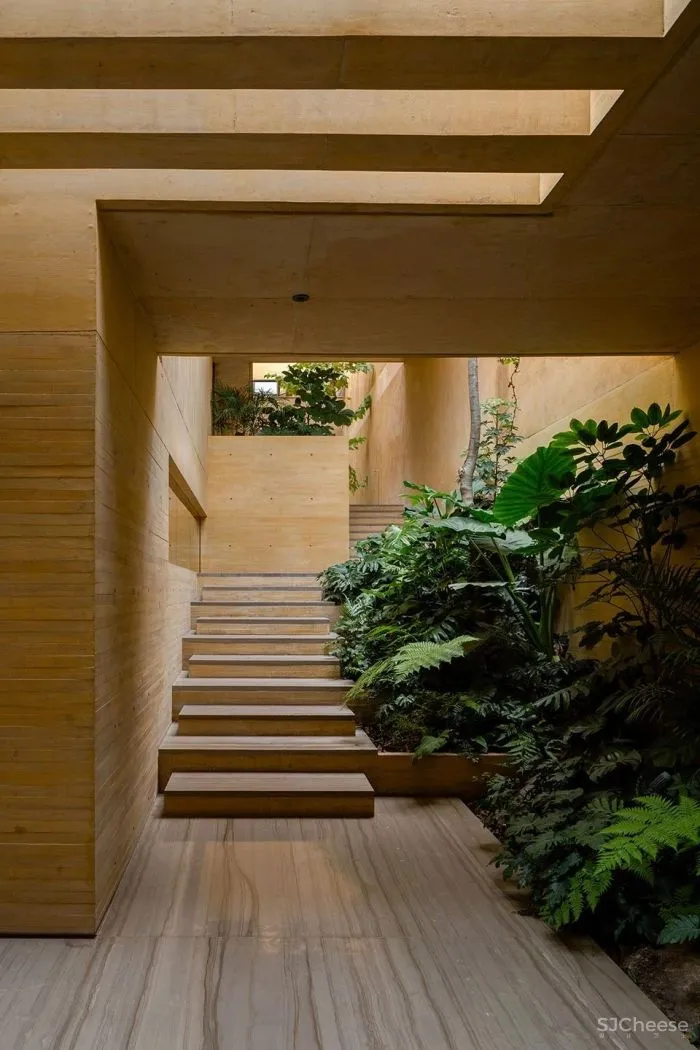 新作 飘浮的花园 CBC住宅 Estudio MMX