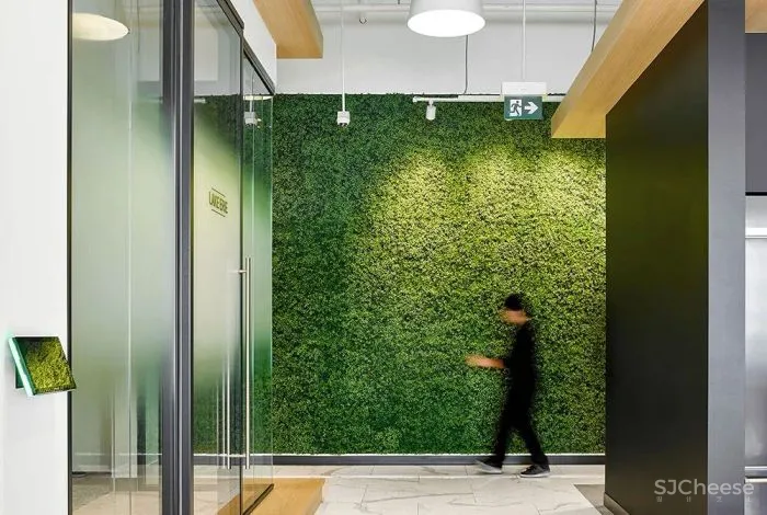 灵动多变 Tandia Financial灵顿办公室