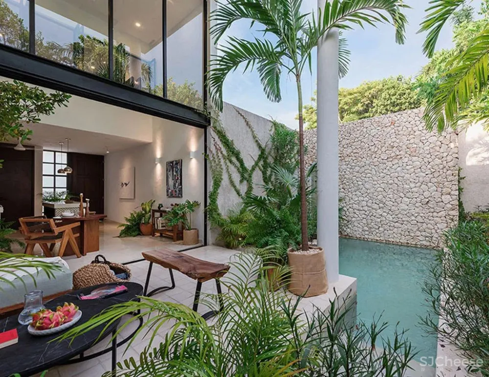 设有小型庭院和游泳池的墨西哥的时尚别墅