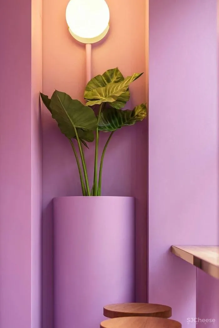 如此生活方圆满