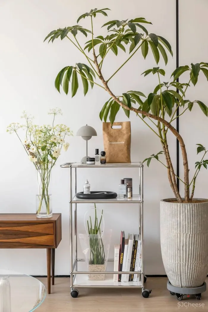 盐系奶咖与极简主义,国潮回力设计师的家 FF新作