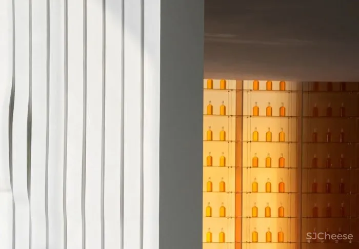 CCD丨 天府核心“智慧之環”,曲線律動的視覺魔術