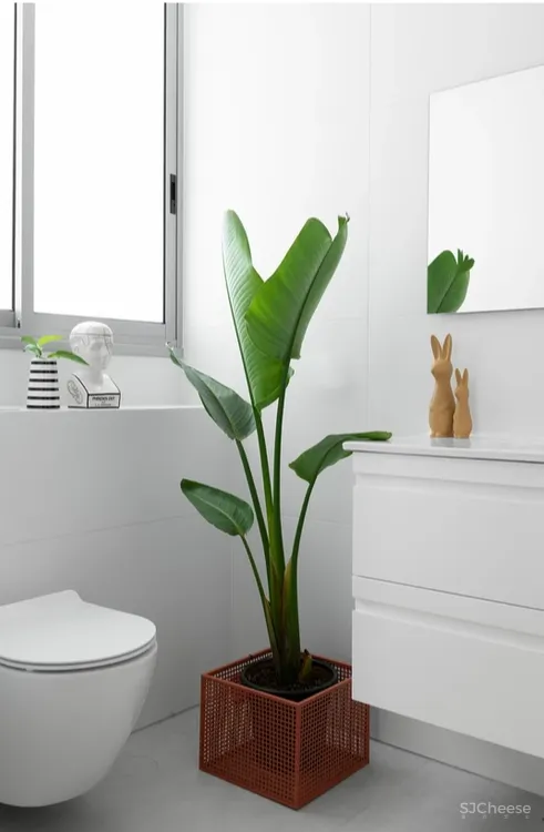 一间由储藏室改成的公寓,从拆除隔墙到色彩提亮,完全看不出曾经的拥挤黑暗