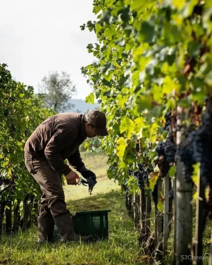 意大利翁布里亚庄园酒店Ristorante Alle Scuderie-这家即将开业的千年庄园酒店,美轮美奂!