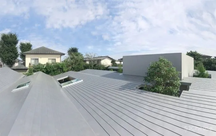 新作丨 树木穿透屋顶 林中诊所 Takashige Yamashita Office