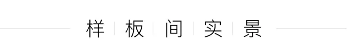 SSD上上国际新作丨 现代轻奢,尽显高级品味!
