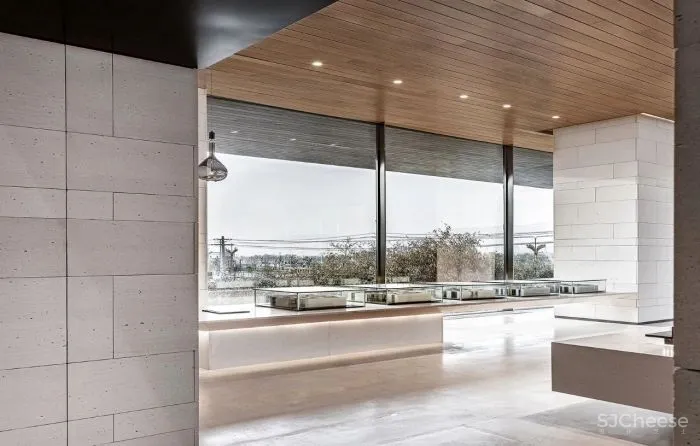 AI DESIGN The Shape Of Water