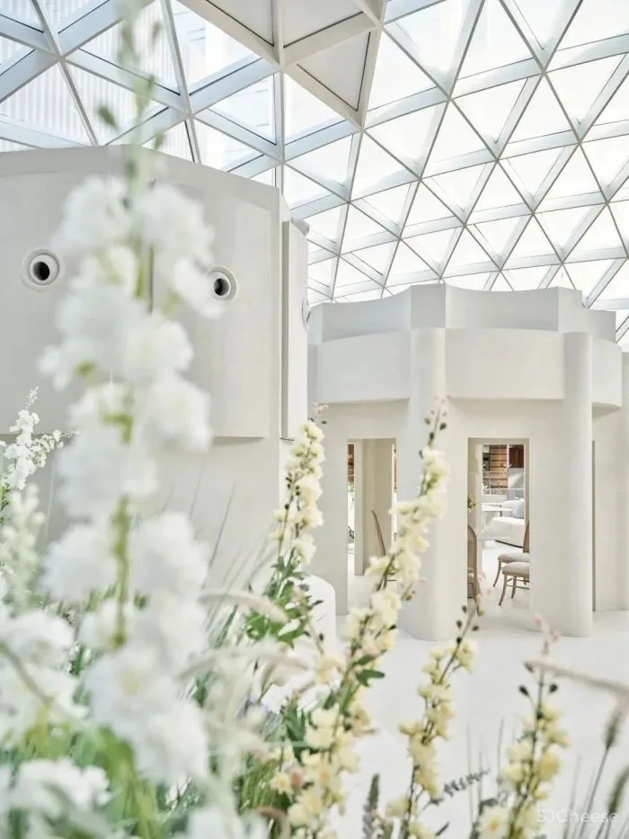 云色设计 云分享:Tomacado花厨,深圳全新概念店