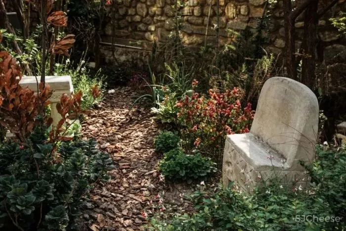 Meet-遇见•梦想改造”设计师谢柯!