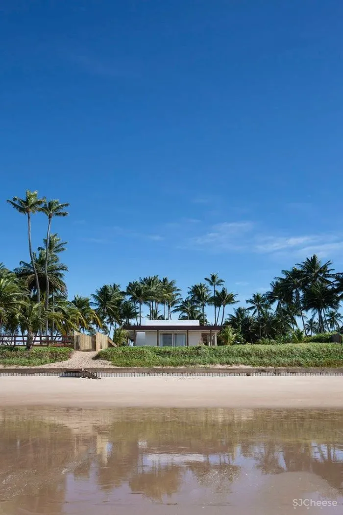 MNMA Studio 野性与灵性的呼唤