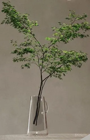 HUERNE 海上风华 • 黑白之间，用极致简约重塑法式浪漫