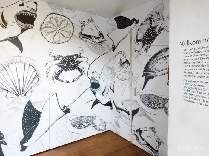 新作 将当地景观转化为抽象装置 自然公园游客中心空间设计 INNOCAD