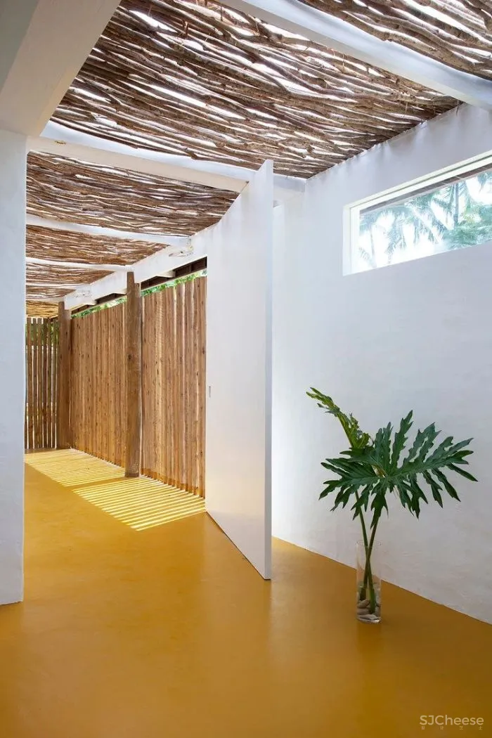 MNMA Studio 野性与灵性的呼唤