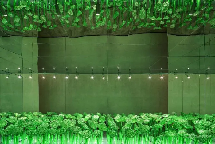 重庆18T,像“梯”一样生长!