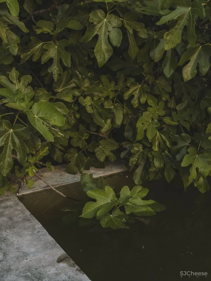 从哲学跨界到景观设计大师,他却说自己只是 一位 “ 园丁 ”