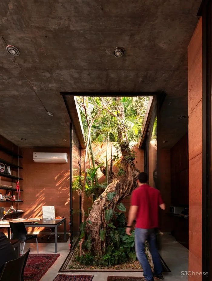 Equipo de Arquitectura丨光影与树 ，洗涤心灵的地方