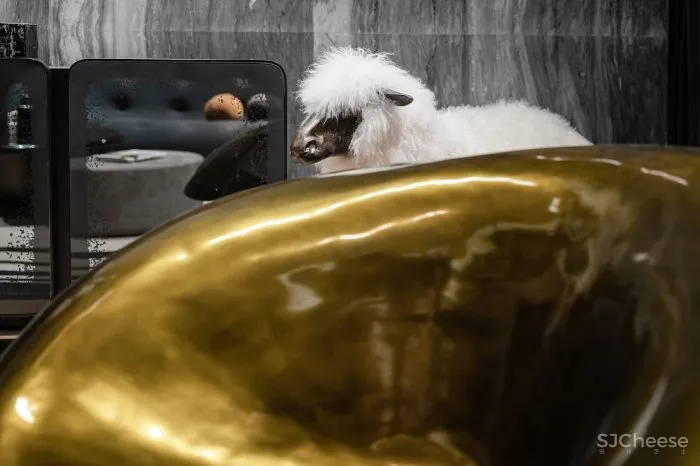 新作丨 布鲁盟设计 阳光城梵悦108,设计生活与艺术的共同体