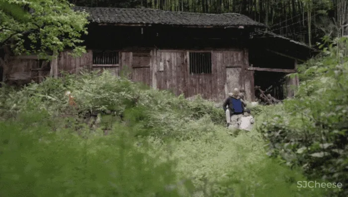一对沪漂夫妻,回张家界造11层盒子屋,坐拥仙境最美景色