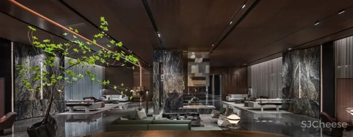 新作帝凯设计 丨 流淌动态力量的时空综合体