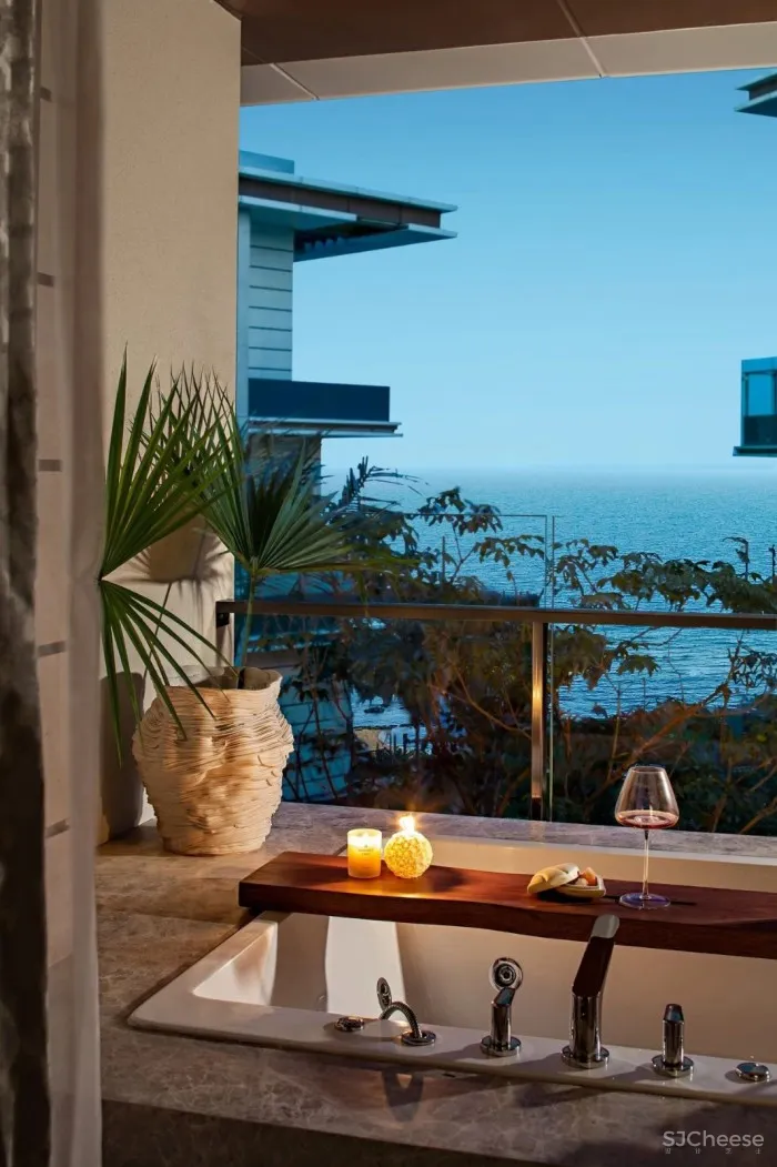 新作丨 雅居乐 x 赛拉维 · 向海而兴