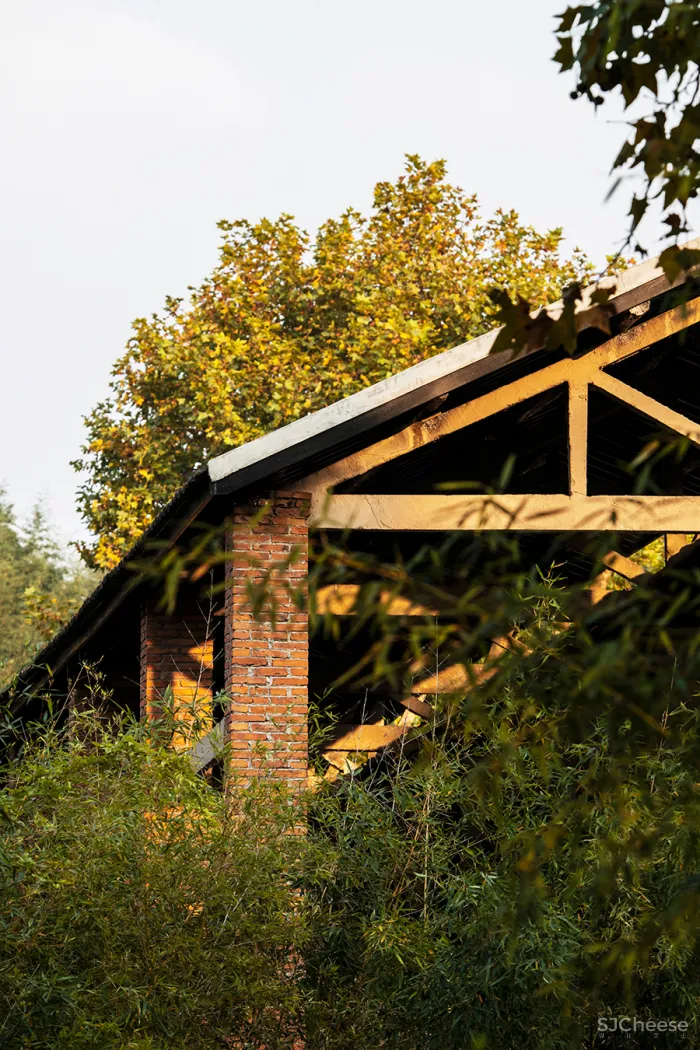 李聪 - 陈书灏 • 莫干山蚕种场｜历史保护建筑“化茧成蝶”