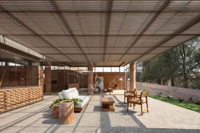 温暖的墨西哥自然主义 Daniela Bucio Sistos