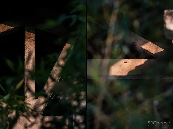 李聪 - 陈书灏 • 莫干山蚕种场｜历史保护建筑“化茧成蝶”