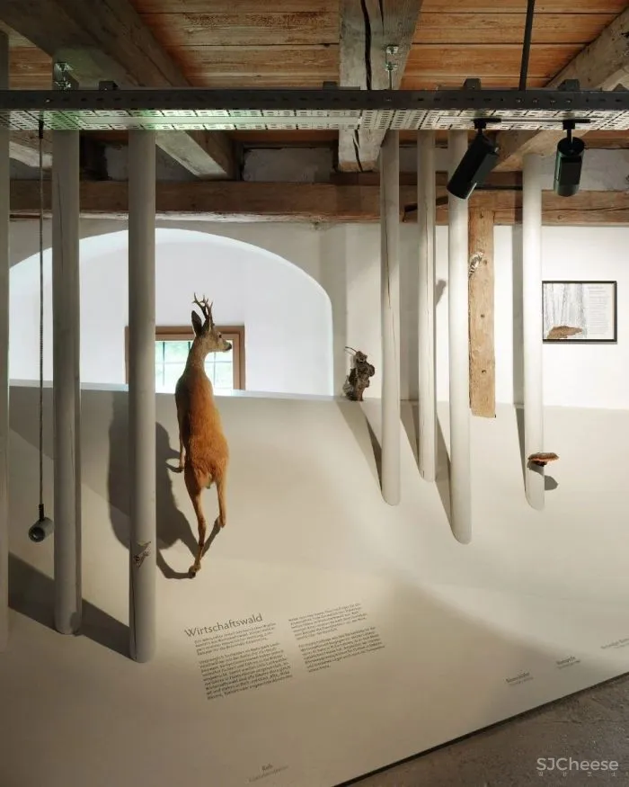 新作 将当地景观转化为抽象装置 自然公园游客中心空间设计 INNOCAD