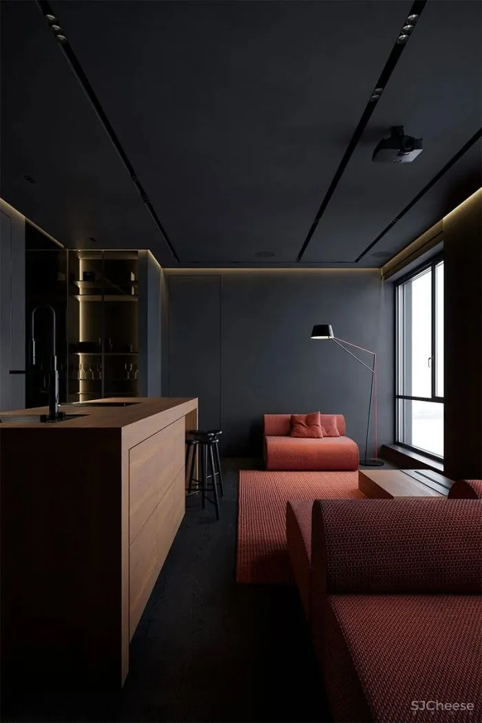 不一样的禁欲主义