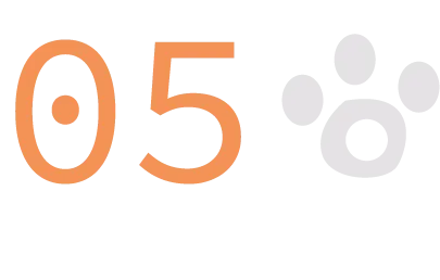 宇合光年 H28治愈星球,用童话诠释温柔的力量守护