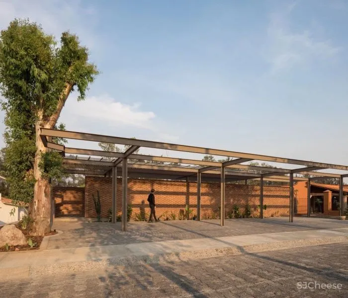 新作丨质朴自然美学 Daniela Bucio Sistos