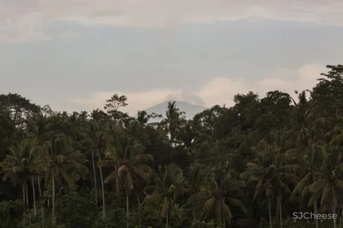 “黎明之家” ,传统的巴厘岛生活与低调舒适相遇