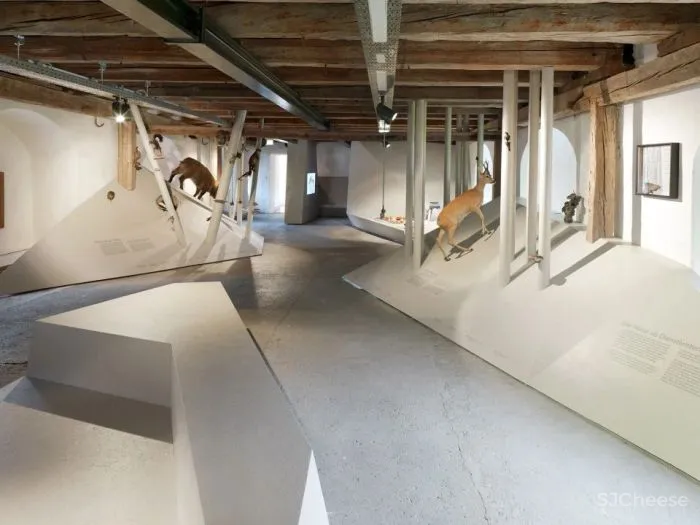 新作 将当地景观转化为抽象装置 自然公园游客中心空间设计 INNOCAD