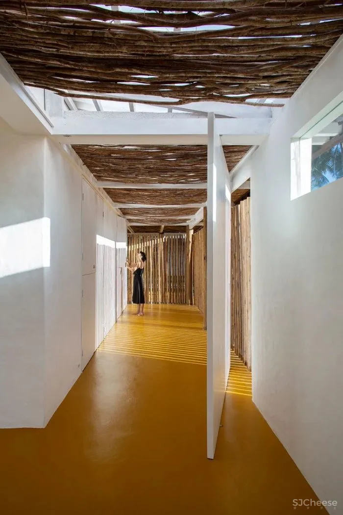 MNMA Studio 野性与灵性的呼唤