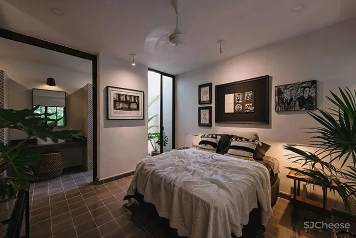 设有小型庭院和游泳池的墨西哥的时尚别墅