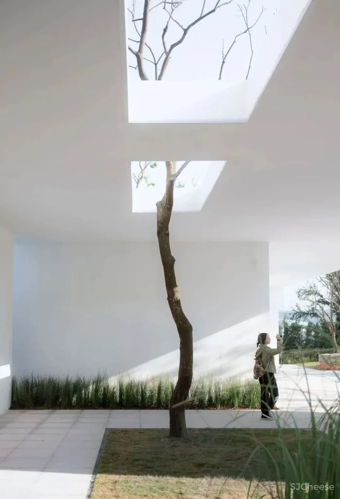 售楼处5大新玩法:美食餐厅 、超市、图书馆、游乐场......