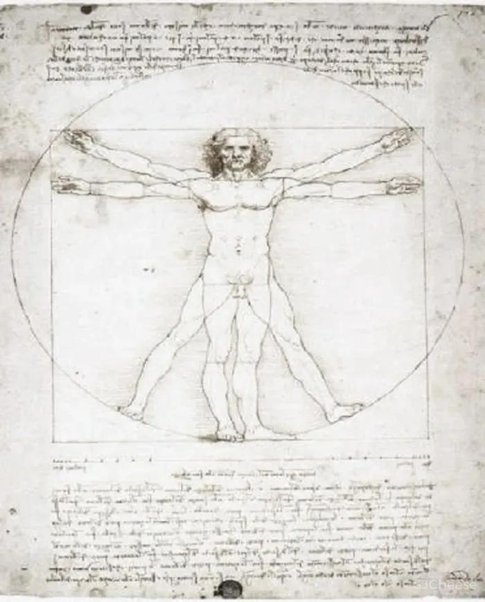 元禾大千新作 丨 艺术基因 空间的序列语言