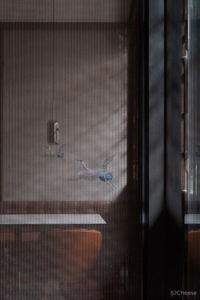 新作︱南筑设计苏阳:朦胧江南——定胜堂餐厅