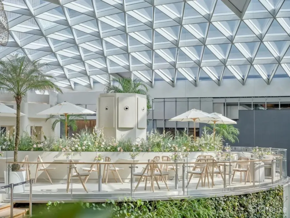 云色设计 云分享:Tomacado花厨,深圳全新概念店