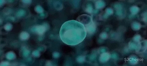 元禾大千新作 丨 艺术基因 空间的序列语言