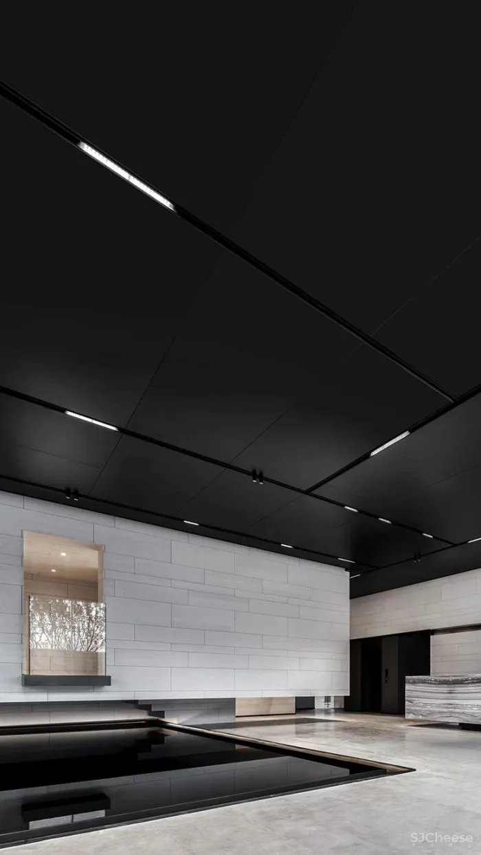 AI DESIGN The Shape Of Water